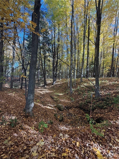 Tiny photo for 700 County Route 22a, Sandy Creek, NY 13145 (MLS # S1724222)