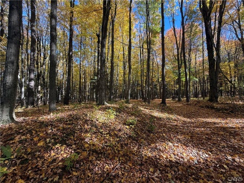 Tiny photo for 700 County Route 22a, Sandy Creek, NY 13145 (MLS # S1724222)