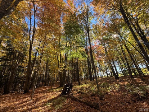 Tiny photo for 700 County Route 22a, Sandy Creek, NY 13145 (MLS # S1724222)