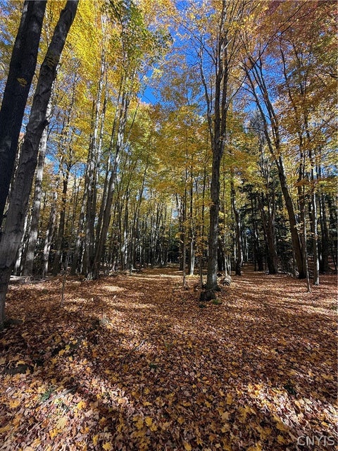 Tiny photo for 700 County Route 22a, Sandy Creek, NY 13145 (MLS # S1724222)