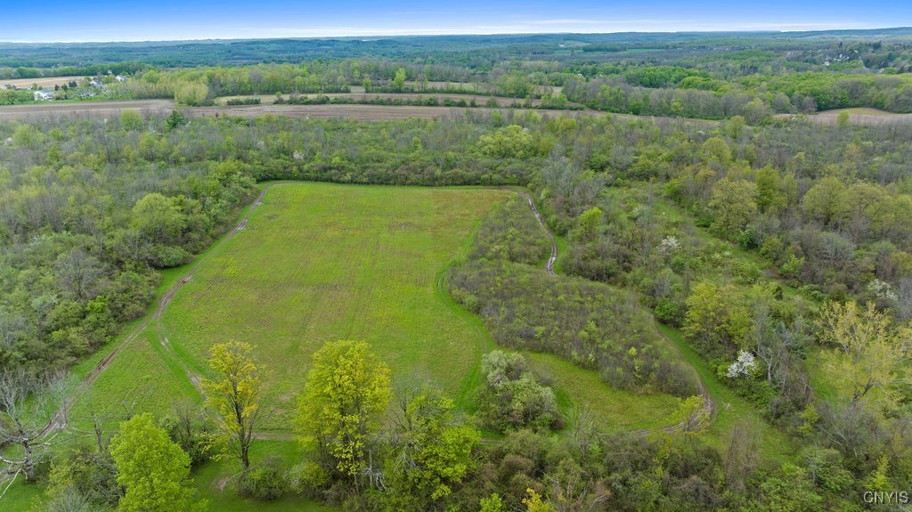 679 Crow Hill Road, Skaneateles, New York image 12