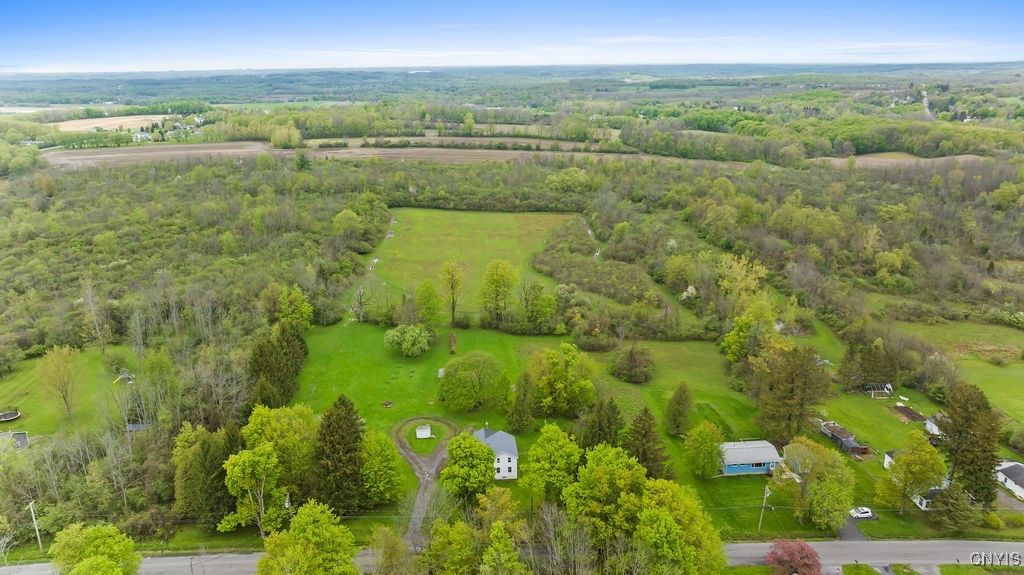 679 Crow Hill Road, Skaneateles, New York image 10