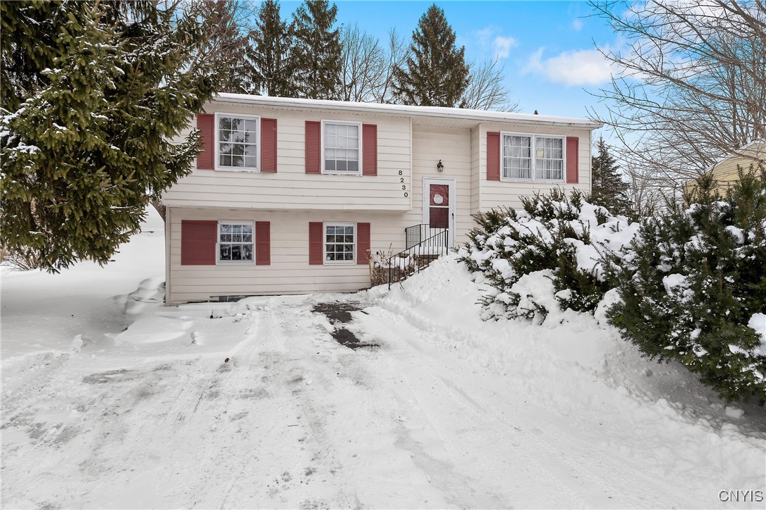 8230 Bitternut Lane, Clay, New York image 1