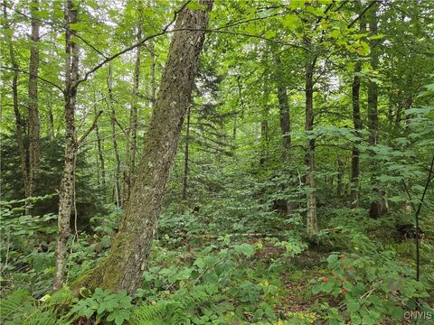 Vacant Land For Sale - 000 William Ernst Road<br/> Lewis County, Lewis, NY 12950