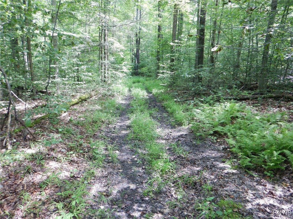 Bull Hill Road