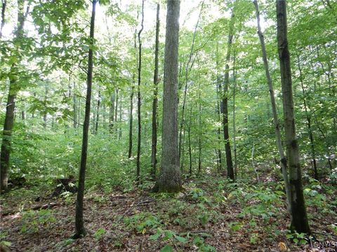 Vacant Land For Sale - Bull Hill Road<br/> Newfield, NY 14867