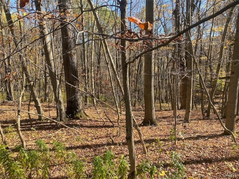 Tiny photo for 9935 Swift Road, Cuba, NY 14727 (MLS # S1726208)