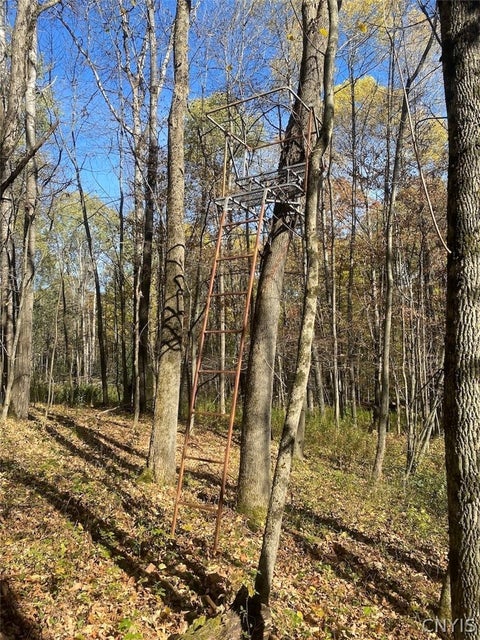 Tiny photo for 9935 Swift Road, Cuba, NY 14727 (MLS # S1726208)