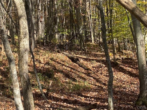 Tiny photo for 9935 Swift Road, Cuba, NY 14727 (MLS # S1726208)