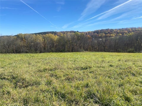 Tiny photo for 9935 Swift Road, Cuba, NY 14727 (MLS # S1726208)