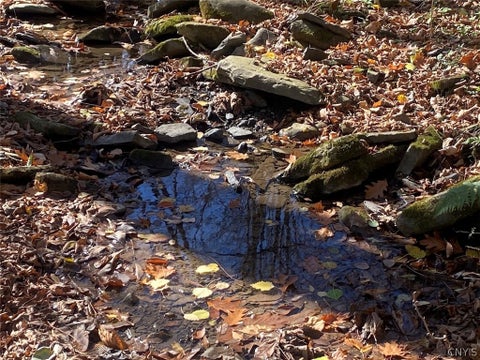 Tiny photo for 9935 Swift Road, Cuba, NY 14727 (MLS # S1726208)