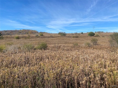 Tiny photo for 9935 Swift Road, Cuba, NY 14727 (MLS # S1726208)