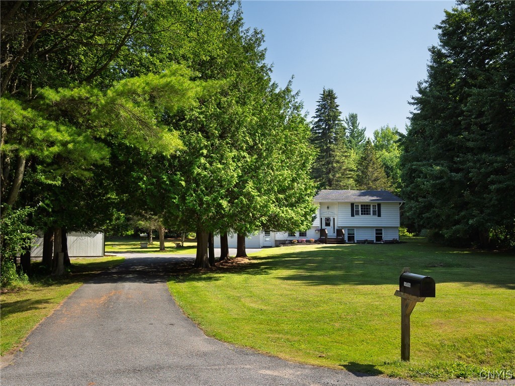 14496 Military Road