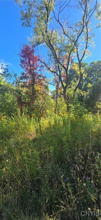 3225 Snowden Hill Road