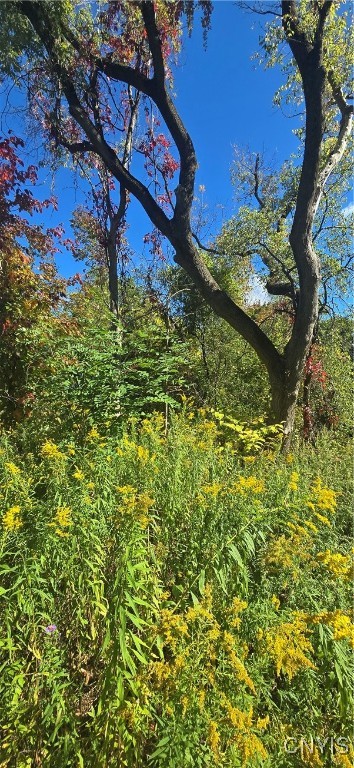 3225 Snowden Hill Road