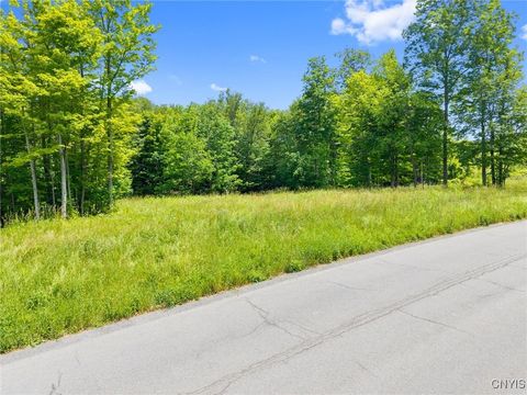 Vacant Land For Sale - 7103 Kittiwake Run #1<br/> Onondaga County, Manlius, NY 13104