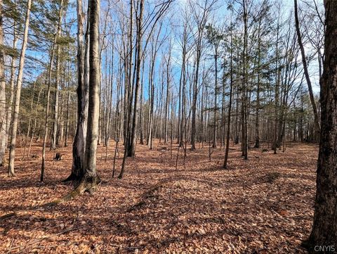 Vacant Land For Sale - South Road<br/> Rathbone, NY 14801