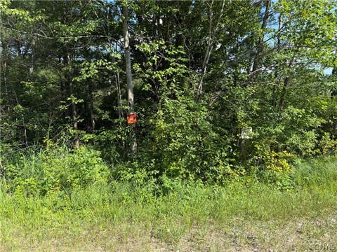 Vacant Land For Sale - Cr 27<br/> Saint Lawrence County, Russell, NY 13684