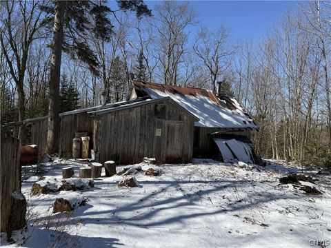 254 California Road Cold Brook NY 13324