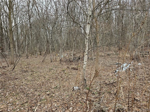 Photo for 6985 Stearns Road