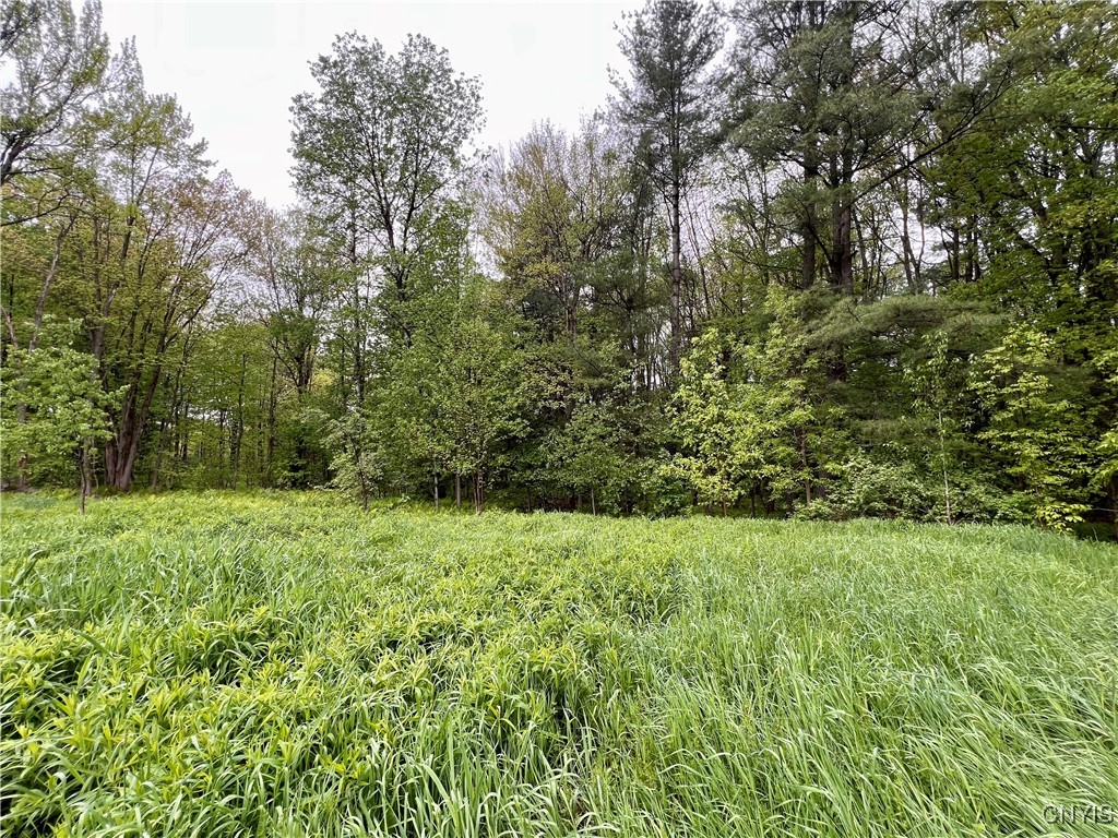 22387 County Route 42