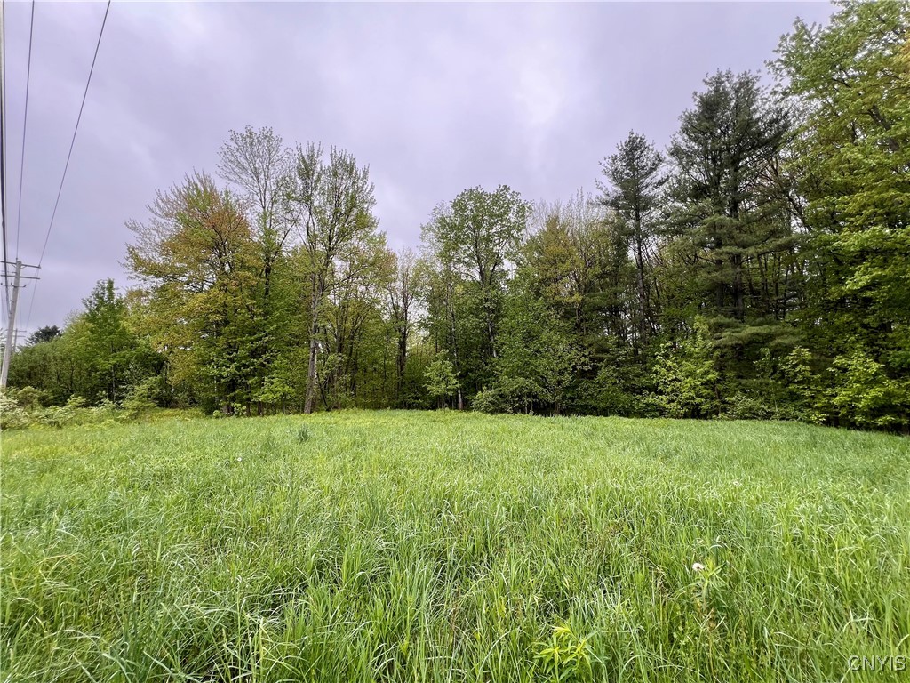 22387 County Route 42