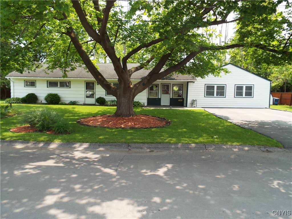 514 McCool Ave