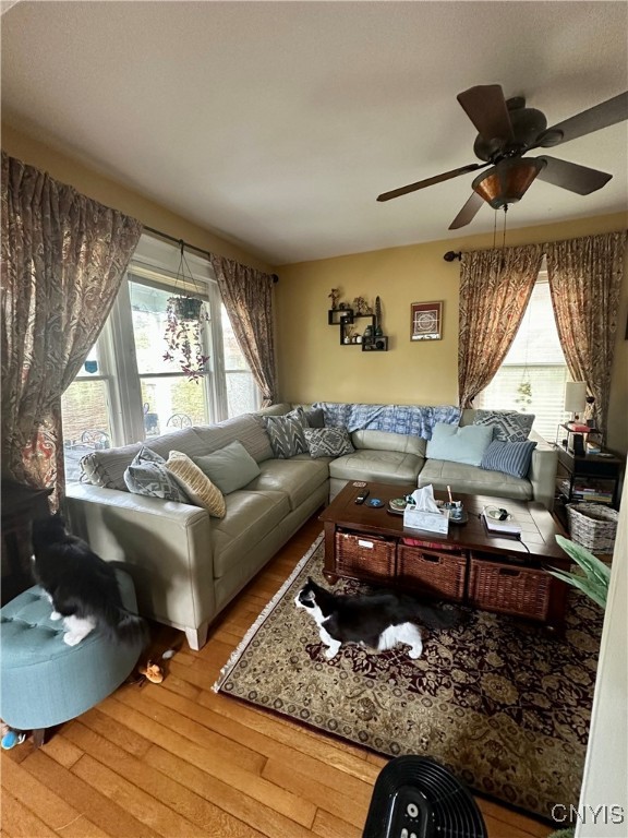 923 Teall Avenue, Syracuse, New York image 4