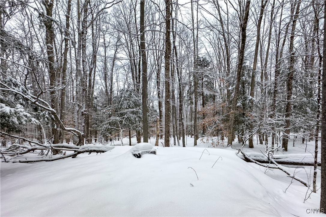 1848 Gray Wilmurt Road