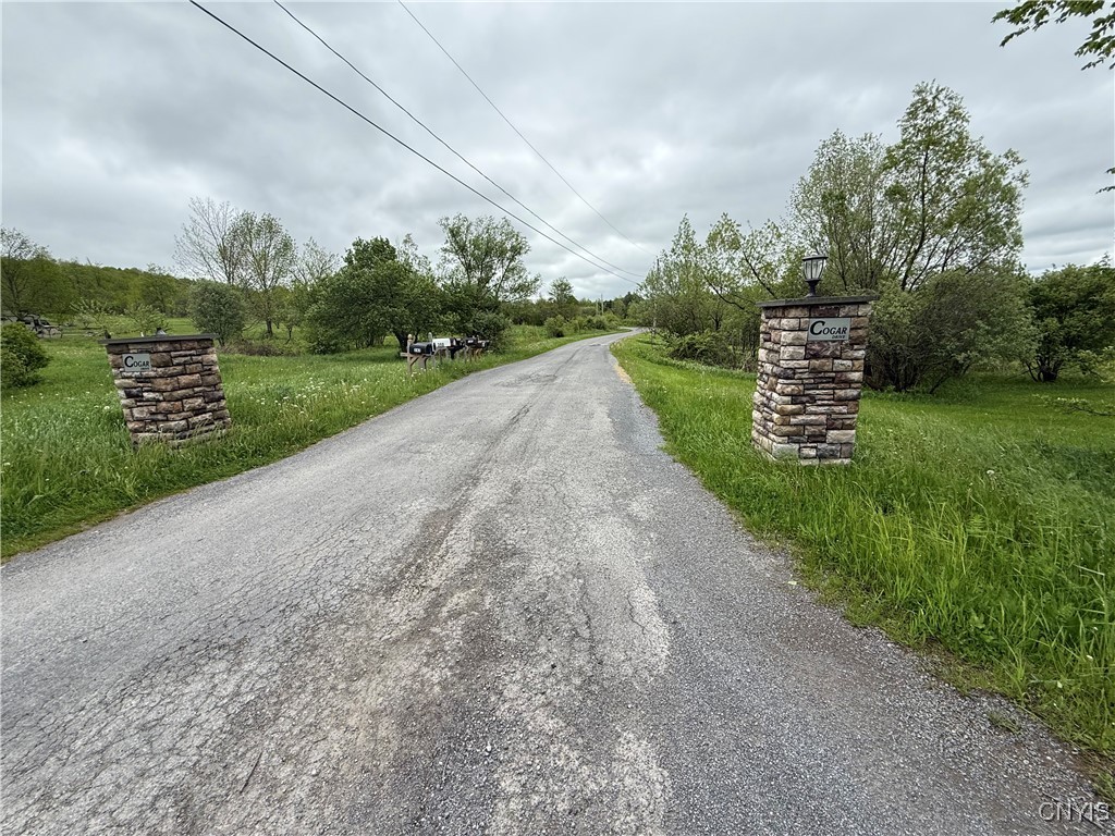 Cogar Drive, Schuyler, New York image 12
