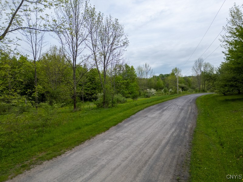 Cogar Drive, Schuyler, New York image 1