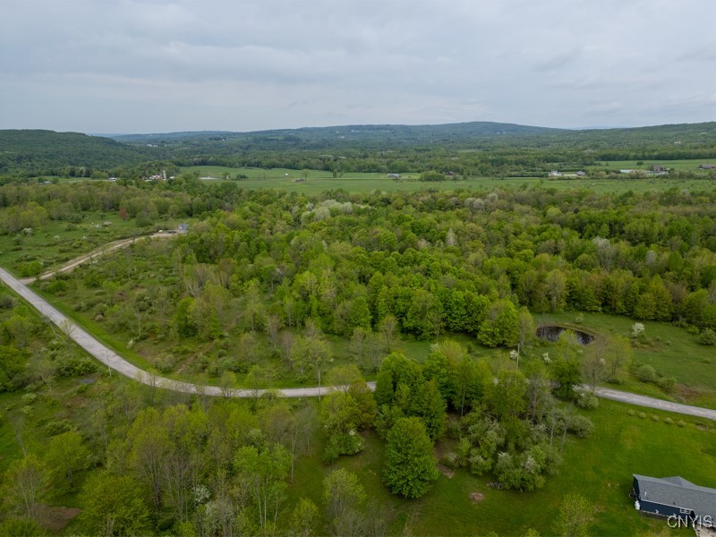Cogar Drive, Schuyler, New York image 10