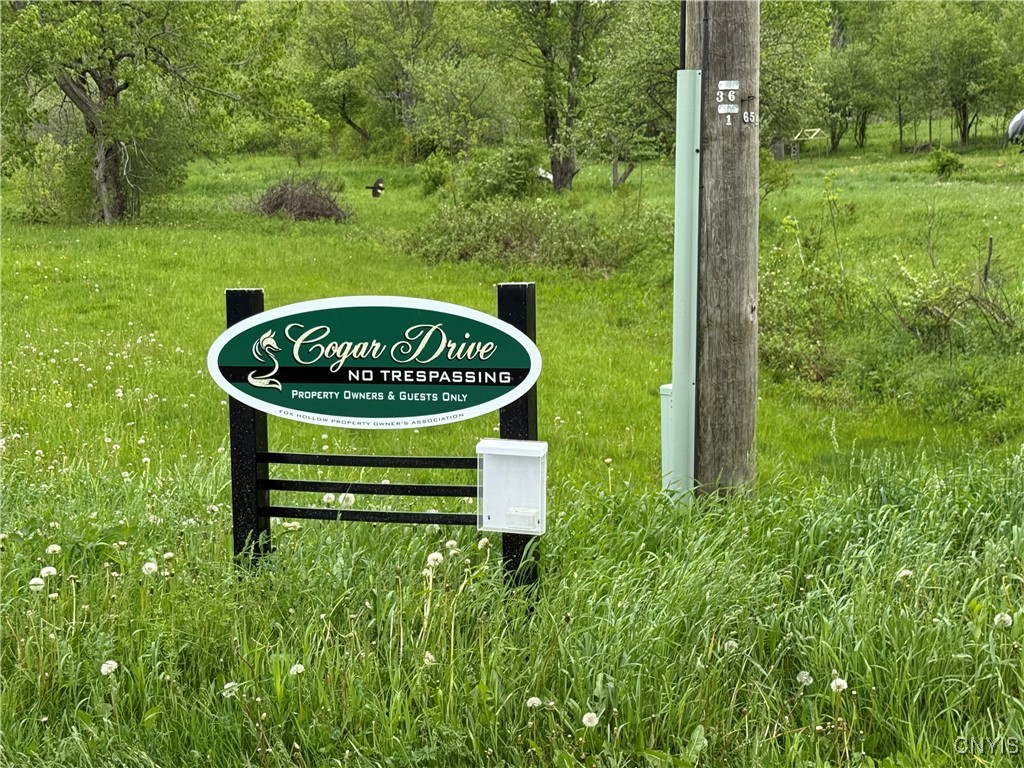 Cogar Drive, Schuyler, New York image 13