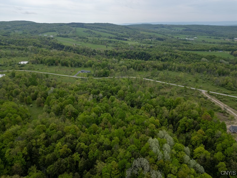 Cogar Drive, Schuyler, New York image 7