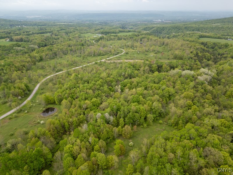 Cogar Drive, Schuyler, New York image 9