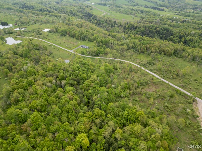 Cogar Drive, Schuyler, New York image 6