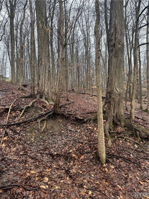 Vacant Land For Sale - 6 Nob Road<br/> Oneida County, Utica, NY 13501