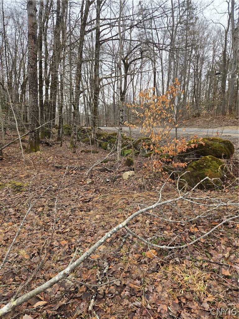 1290 Dairy Hill Road