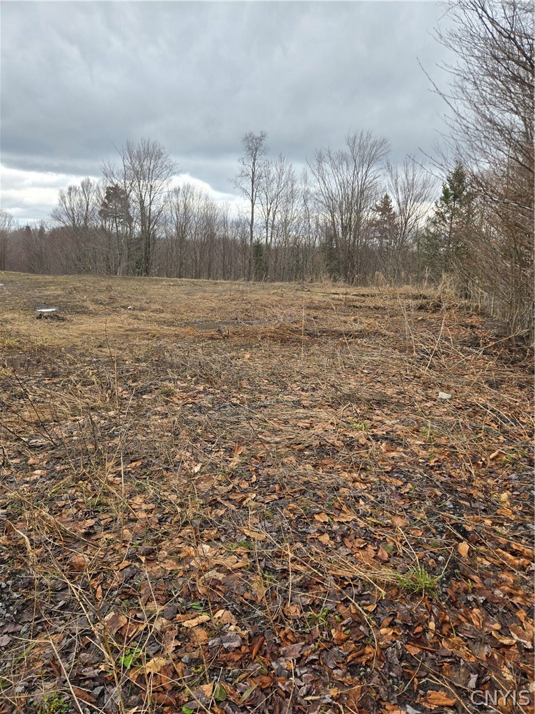 1290 Dairy Hill Road
