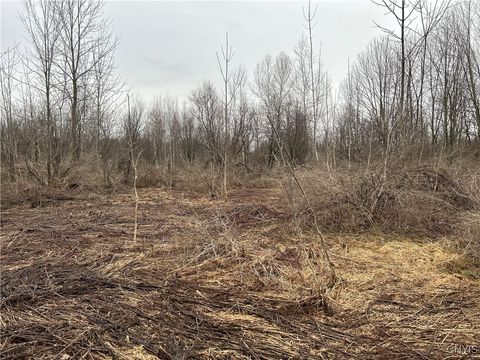 MLS: S1585534