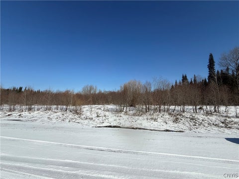 Vacant Land For Sale - 5129 Barniak Drive<br/> Turin, NY 13473