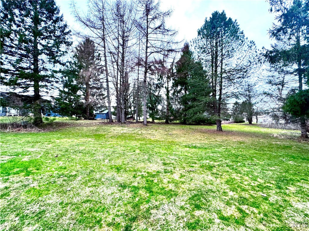 14 Barley Mow Run, New Hartford, New York image 9
