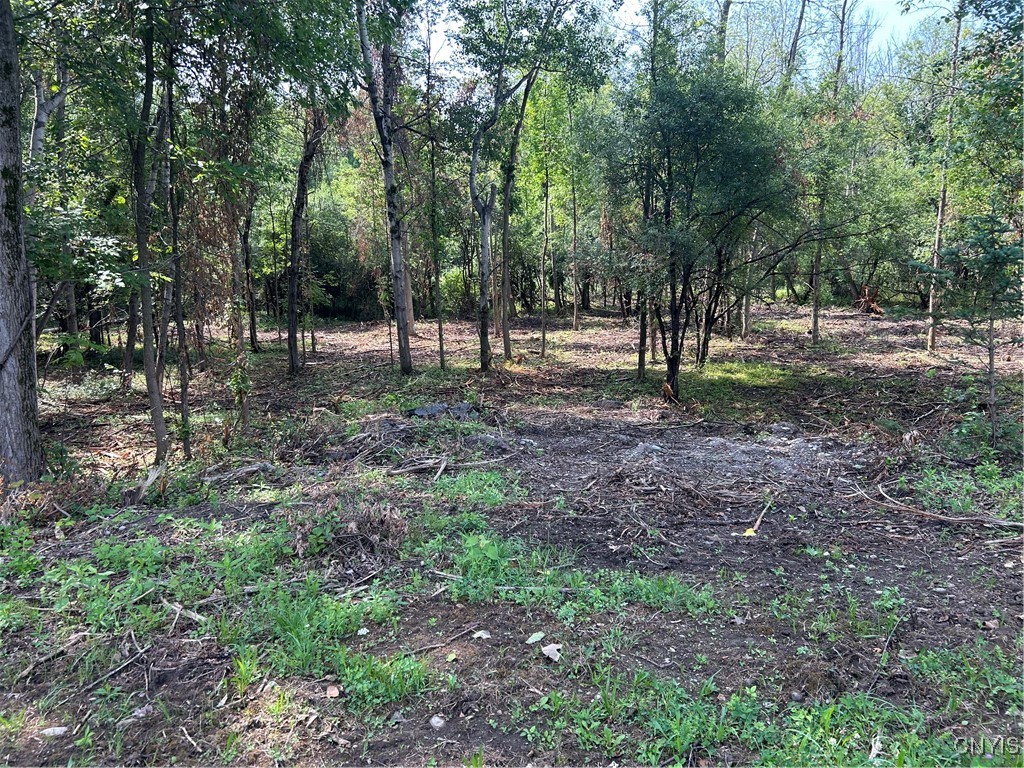 0 Ridge Road