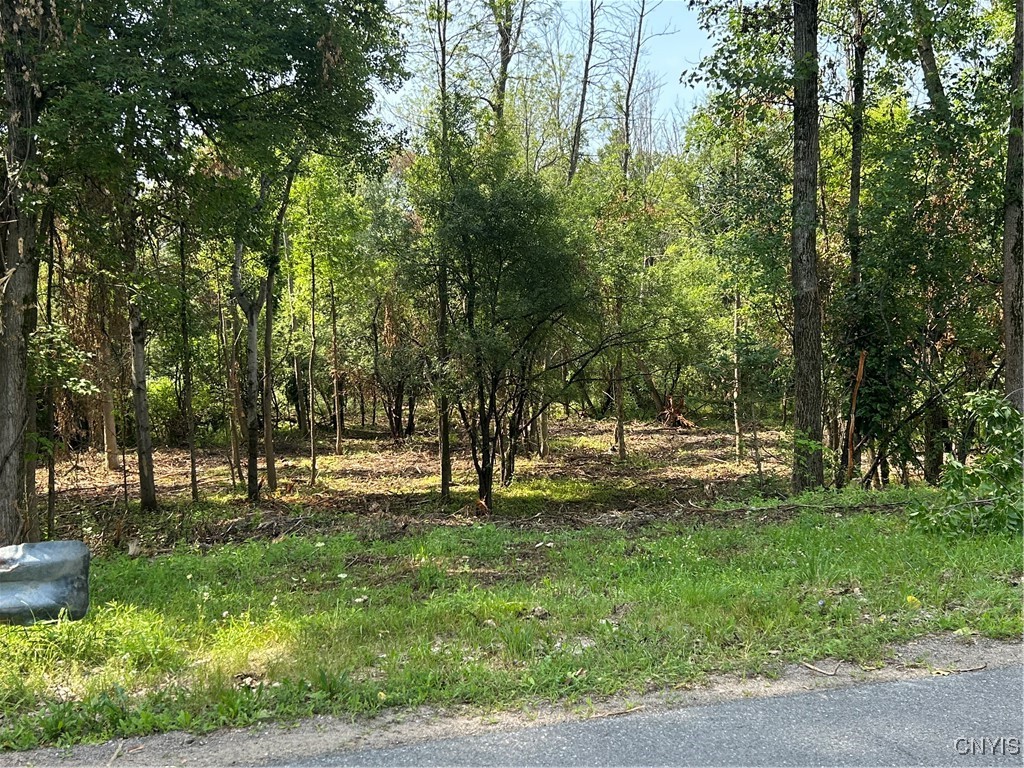 0 Ridge Road