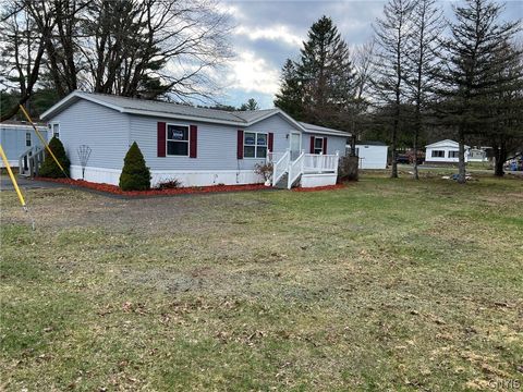 6 MAPLEDALE ACRES Barneveld NY 13301