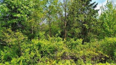 Tiny photo for 7630 Wall Street Road, Wolcott, NY 14590 (MLS # S1693724)