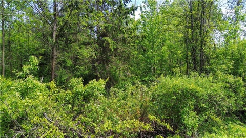 Tiny photo for 7630 Wall Street Road, Wolcott, NY 14590 (MLS # S1693724)