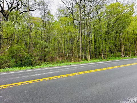 Photo for 00 Buckley Hill Road