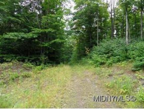 20 Twin Ponds Dr Newport NY 13416