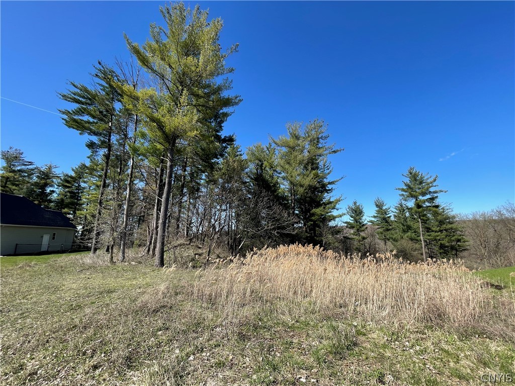 4638 Lot 5 Pauli Drive, Manlius, New York image 2